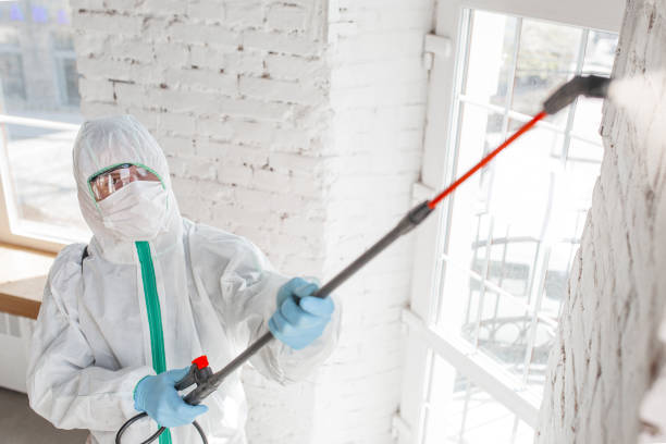 Best Water Damage & Mold Remediation  in Waterloo, IA