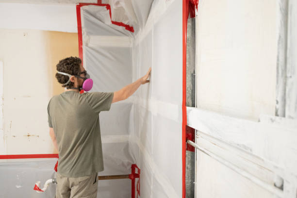 Best Forensic Mold Investigation  in Waterloo, IA