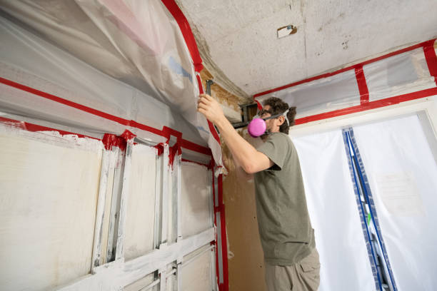 Best Dehumidification Services  in Waterloo, IA