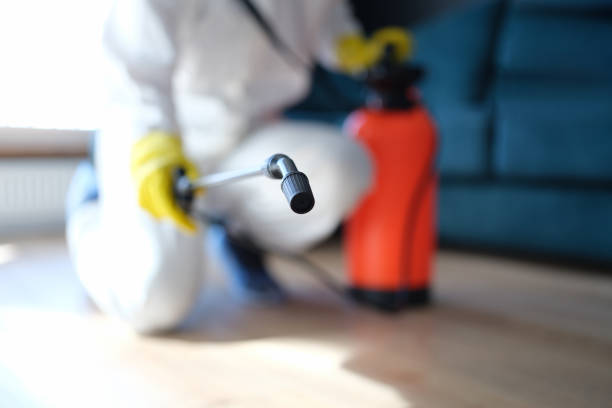 Best Mold Documentation for Insurance Claims  in Waterloo, IA