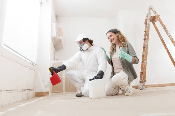 Best Emergency Mold Remediation  in Waterloo, IA
